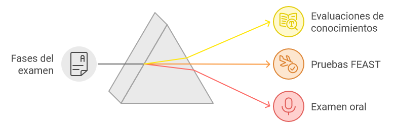 Esquema de las fases del examen para controlador aéreo, mostrando las pruebas teóricas, FEAST y entrevista conductual.